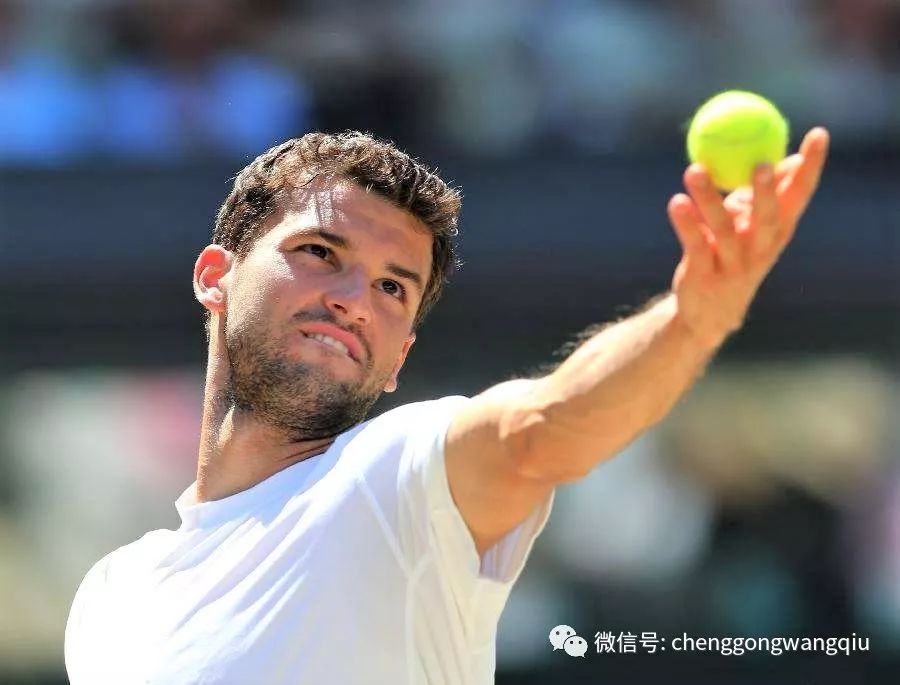 有业内评论 有业内评论